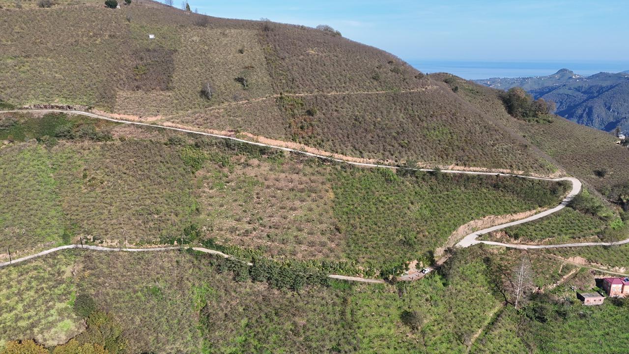 MABEL GAYRİMENKUL-ŞEYHMUSA KÖYÜ FIRSAT FINDIK BAHÇESİ